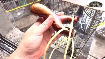 中国国产弹弓视频大全